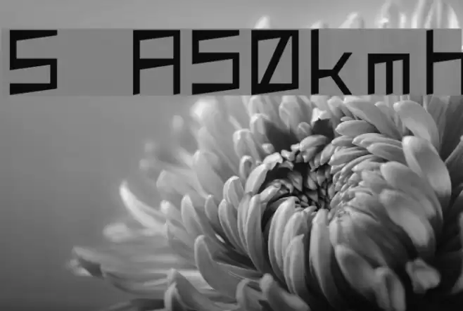 S  A50kmh Font examples