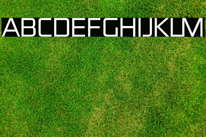 S-PHANITH FONTER ZOUL Font examples