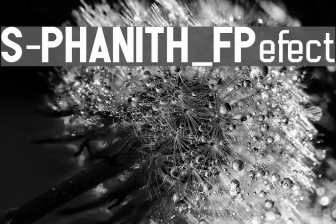 S-PHANITH_FPefect Font examples