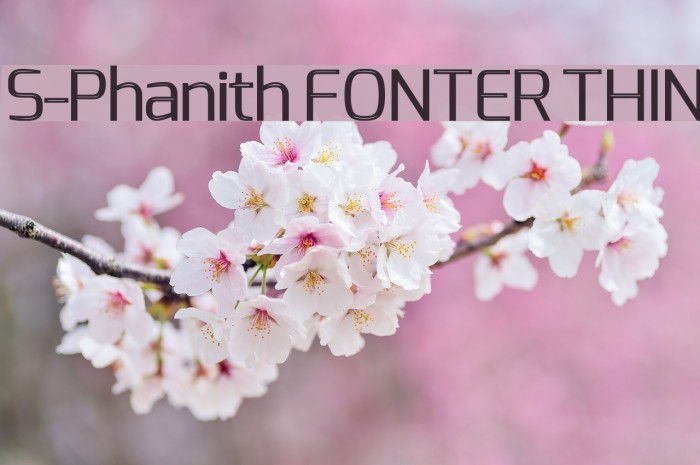 S-Phanith FONTER THIN Font examples