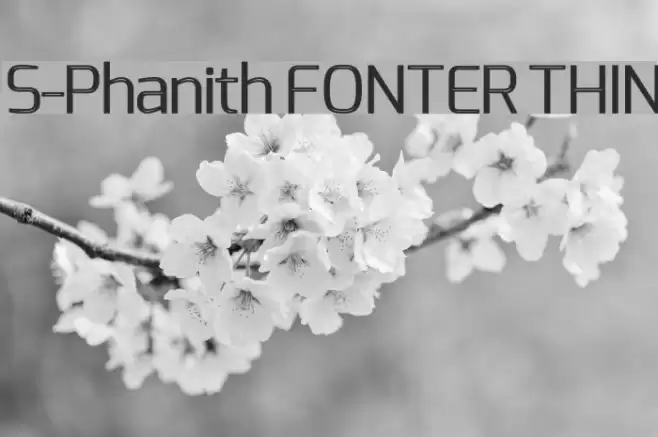 S-Phanith FONTER THIN Schriftart examples