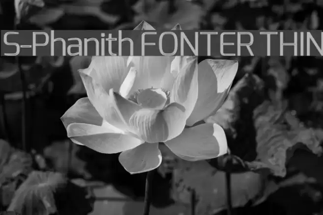 S-Phanith FONTER THIN Schriftart examples