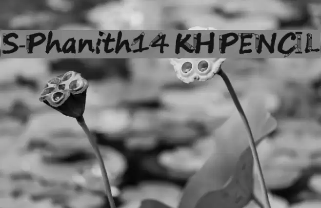 S-Phanith14 KH PENCIL Font examples