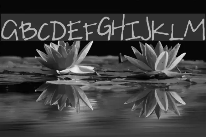 S Uneven Font examples