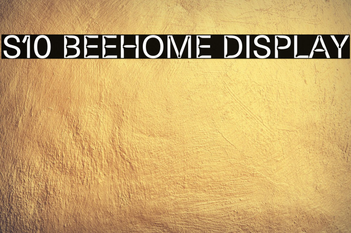 S10 Beehome Display Example 1
