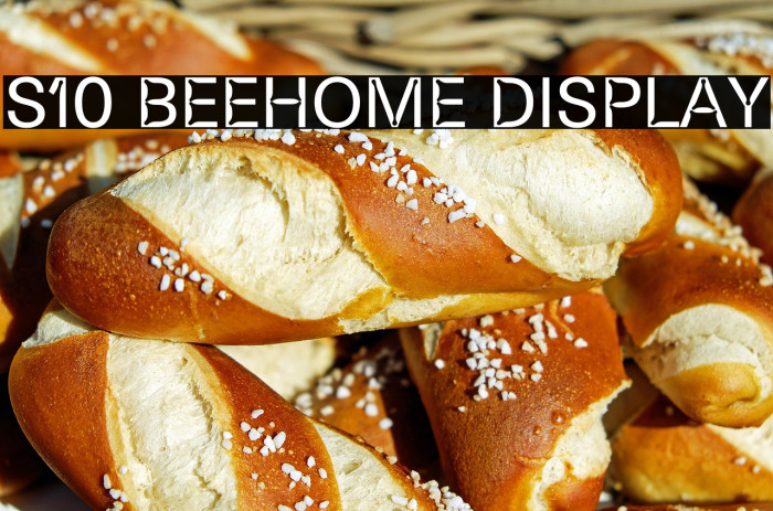 S10 Beehome Display Example 2