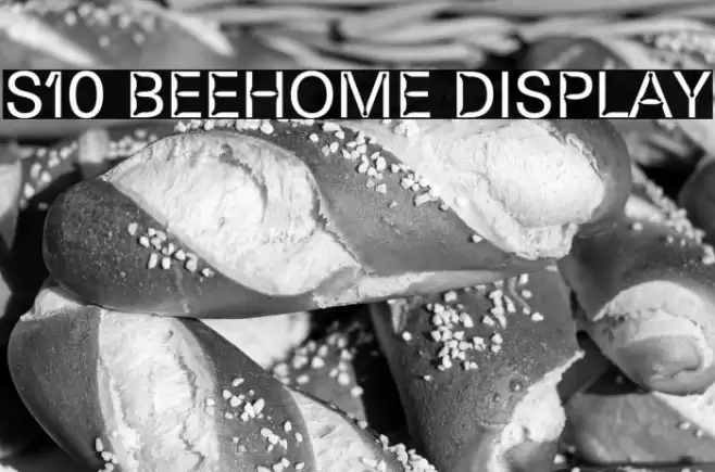 S10 Beehome Display Font examples