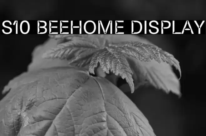 S10 Beehome Display Font examples