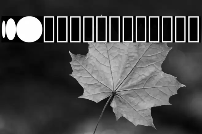 S10 Beehome Mark BH 1 Font examples