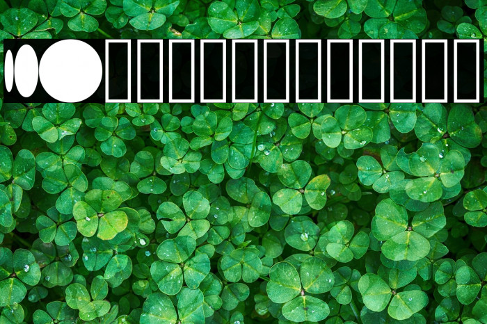 S10 Beehome Mark BH 1 Example 2