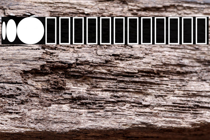 S10 Beehome Mark BH 1 Example 3