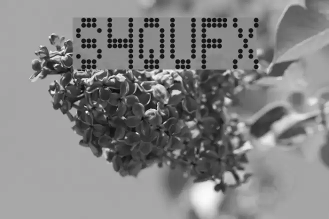 S4QUFX Fonte examples