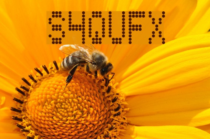 S4QUFX Font examples