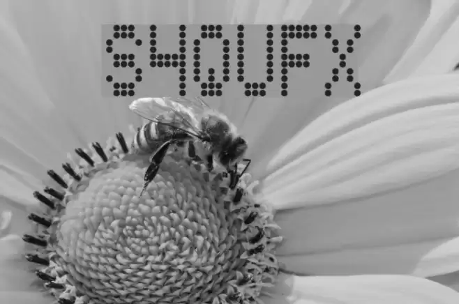 S4QUFX Fonte examples