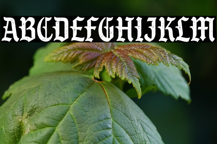 S&S GreyHood Seven Example 3