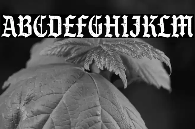 S&S GreyHood Seven Font examples