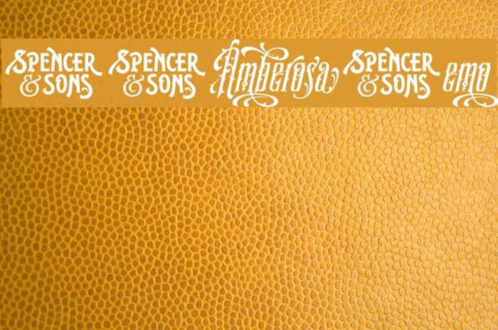 S&SAmberosaDemo Font examples