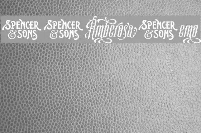 S&SAmberosaDemo フォント examples