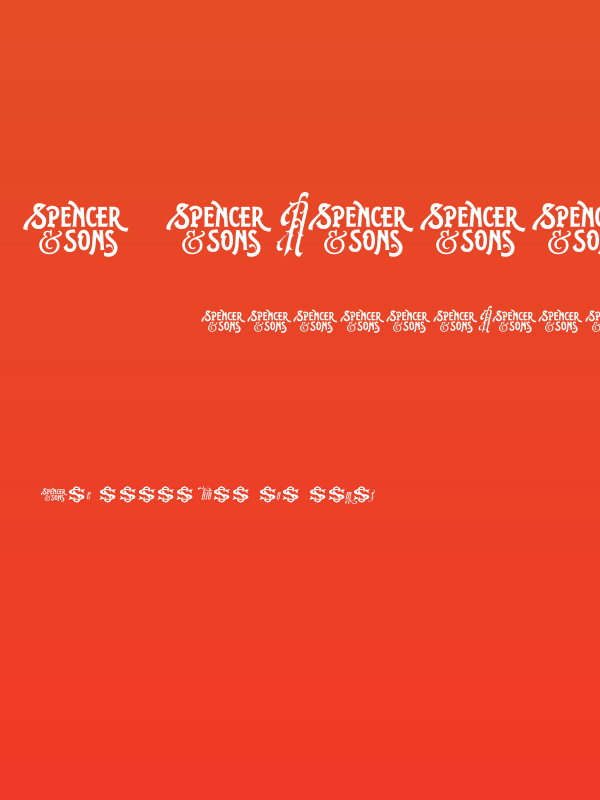 S&SAmberosaDemo Poster