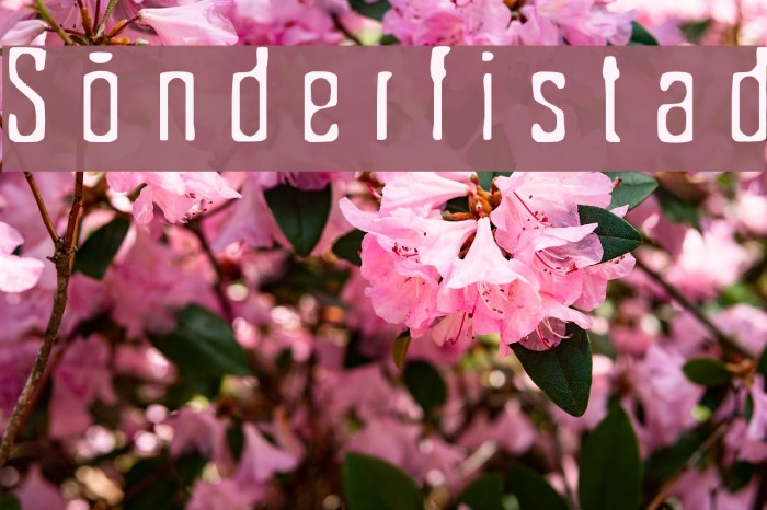 Sönderfistad Font examples