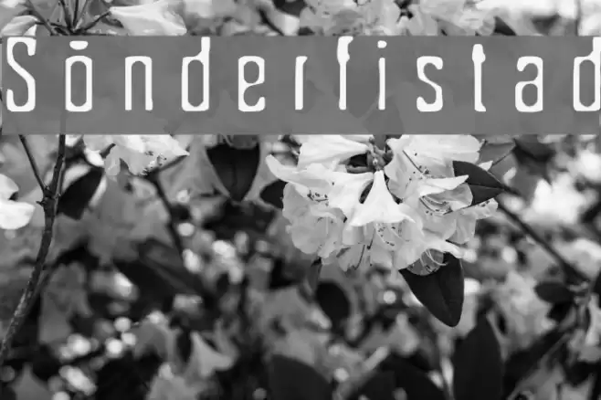 Sönderfistad Font examples