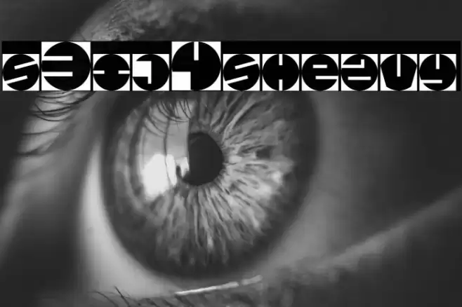 s3ij4sheavy Font examples