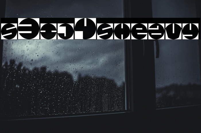 s3ij4sheavy Example 3