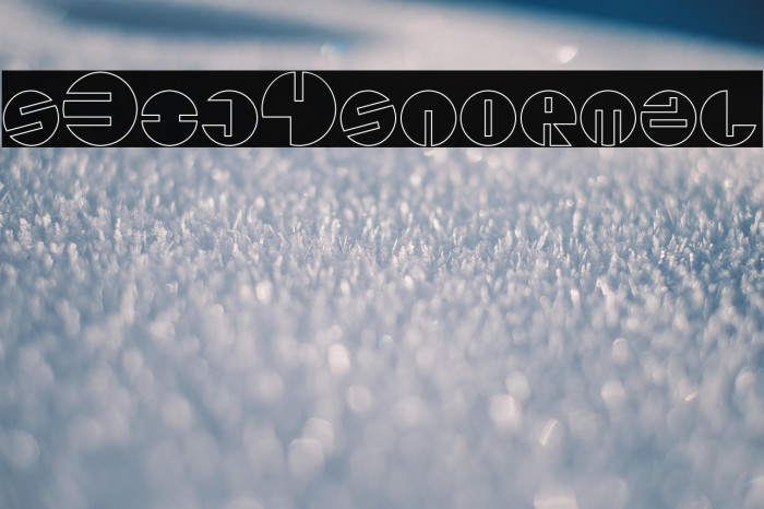 s3ij4snormal Example 3