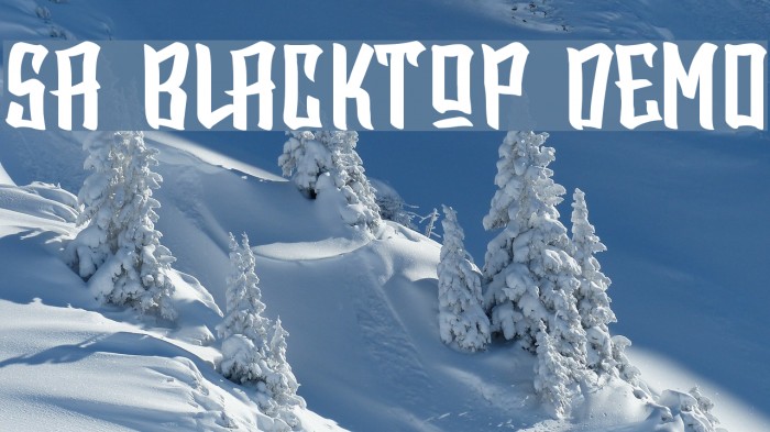 SA BlackTop DEMO Example 1