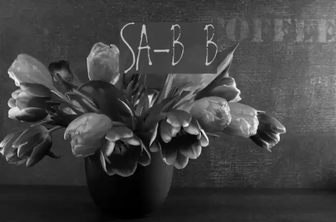 SA-Boston Blvd Font examples