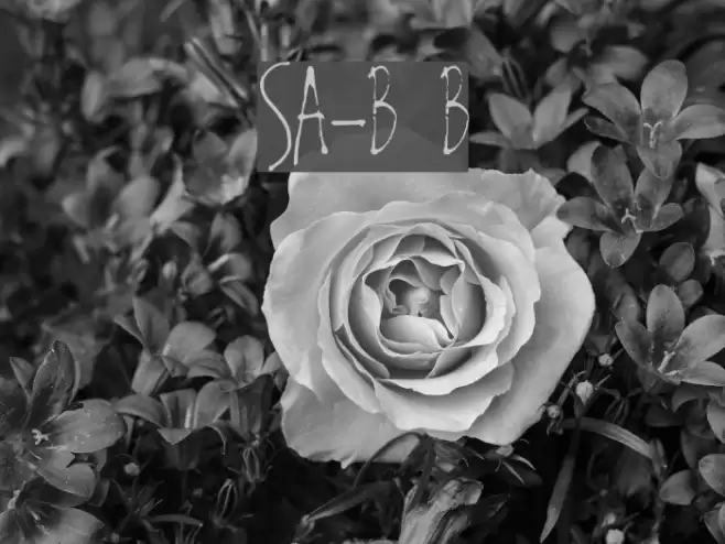 SA-Boston Blvd Font examples