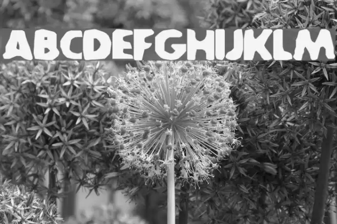 SA-Caustic Font examples