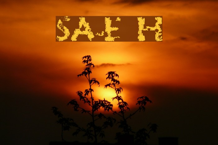 SA-Eroded Heart Font examples