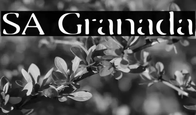 SA Granada Font examples