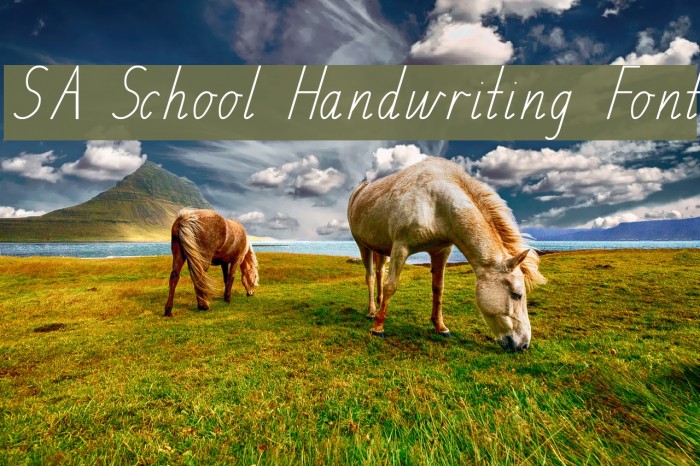 SA School Handwriting Font Font examples