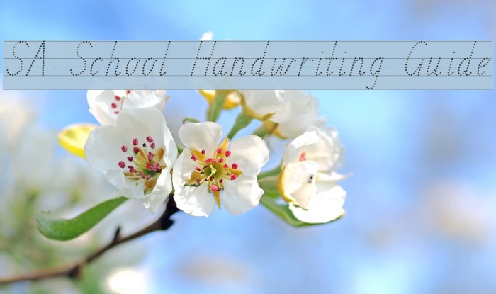SA School Handwriting Guide Font examples