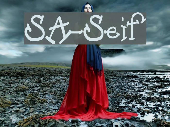 SA-Serif Font examples