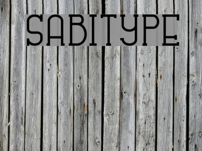 SABITYPE Example 1
