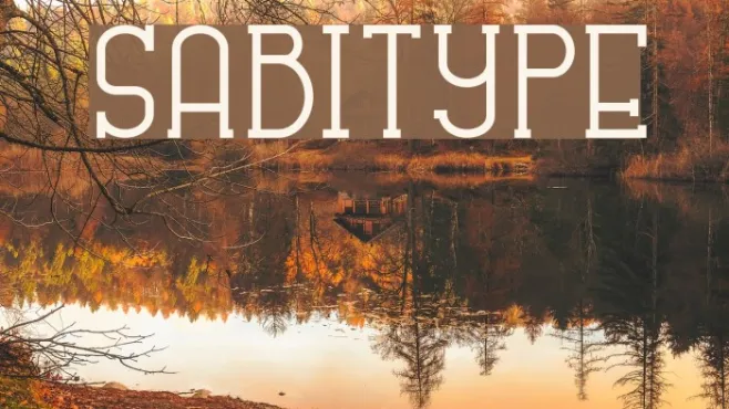 SABITYPE Example 2