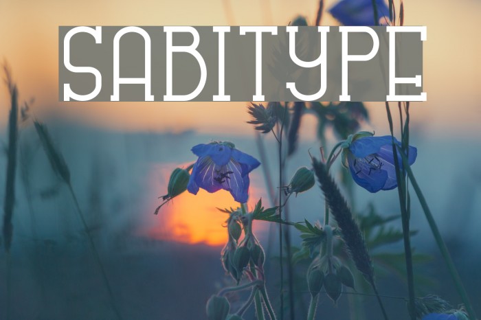 SABITYPE Font examples