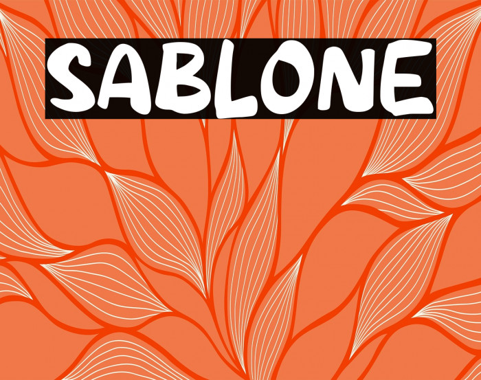 SABLONE Example 1