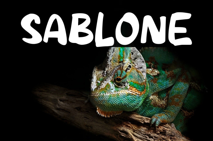 SABLONE Example 3