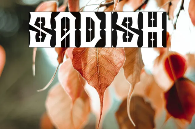 SADISH Example 3