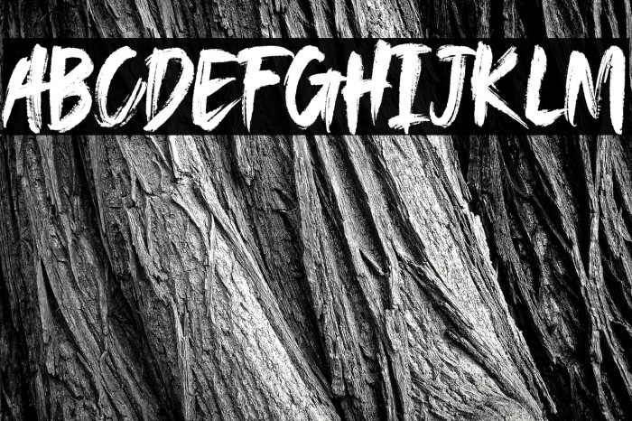 SAEROWS - DEMO Example 1