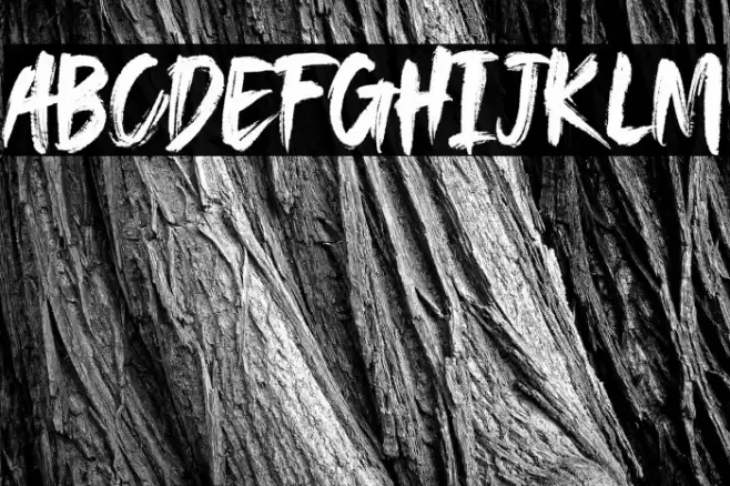 SAEROWS - DEMO Font examples