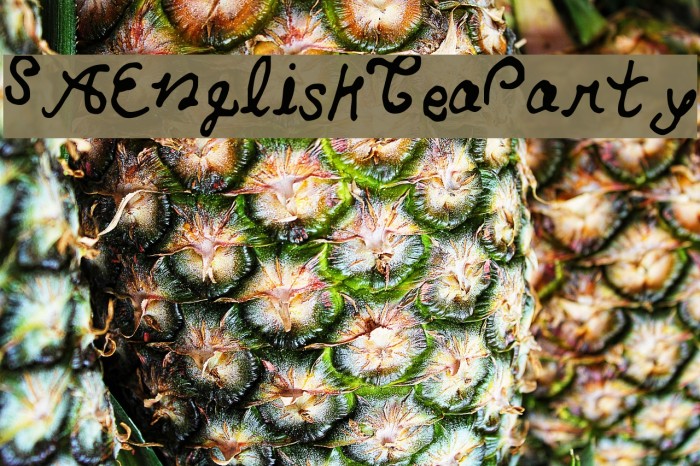 SAEnglishTeaParty Example 1