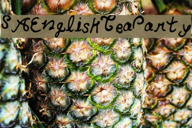 SAEnglishTeaParty Example 1
