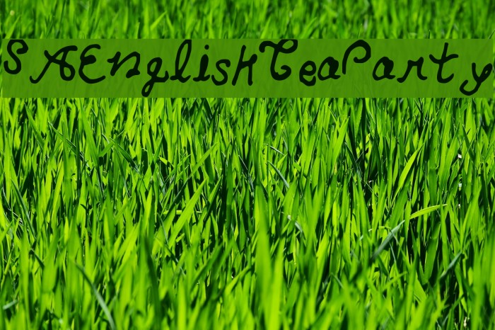 SAEnglishTeaParty Example 2