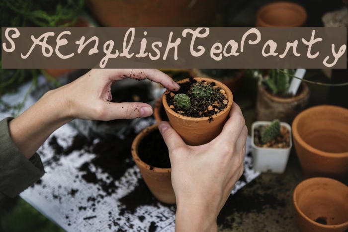 SAEnglishTeaParty Example 3