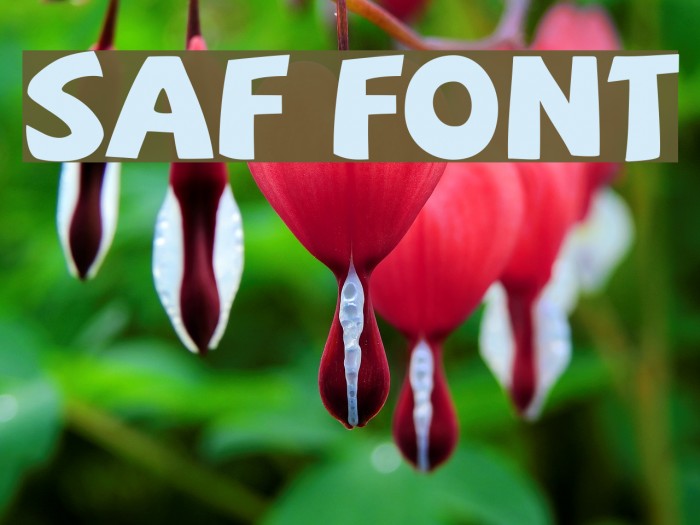 SAF Шрифта examples